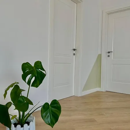 Gibel Golem (Tirana)